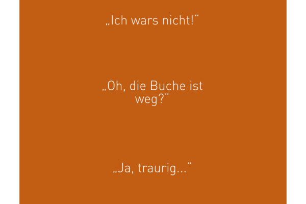 Buch-Waitze-Buche9